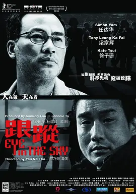 跟踪 [2007][7.4分]