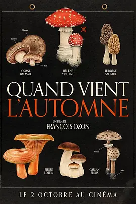 秋日何时来 [2024][7.9分]