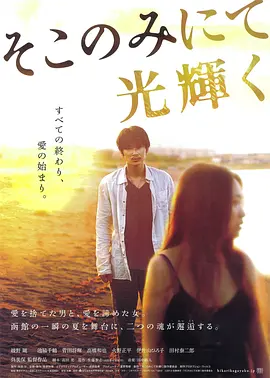 只在那里发光 [2014][7.3分]