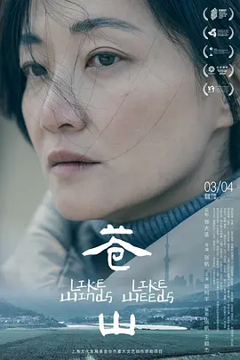 苍山 [2023][6.9分]