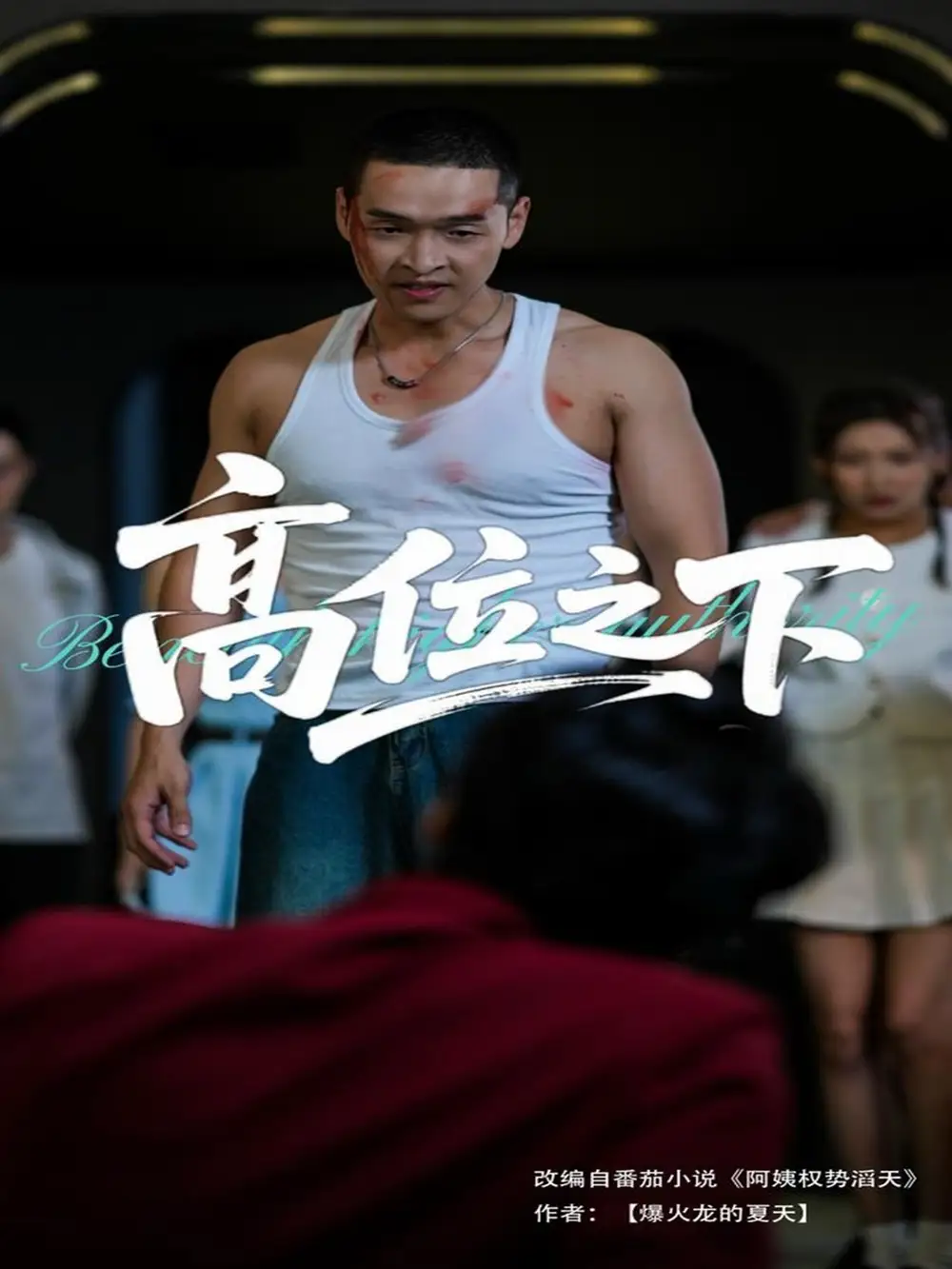 《高位之下（65集）》短剧全集免费在线看