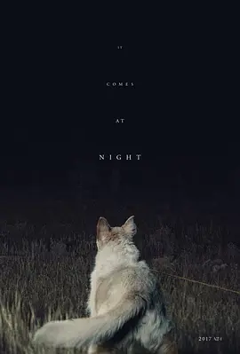 黑夜造访 [2017][6.1分]