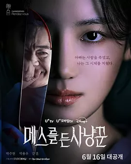 拿着手术刀的猎人 메스를 든 사냥꾼