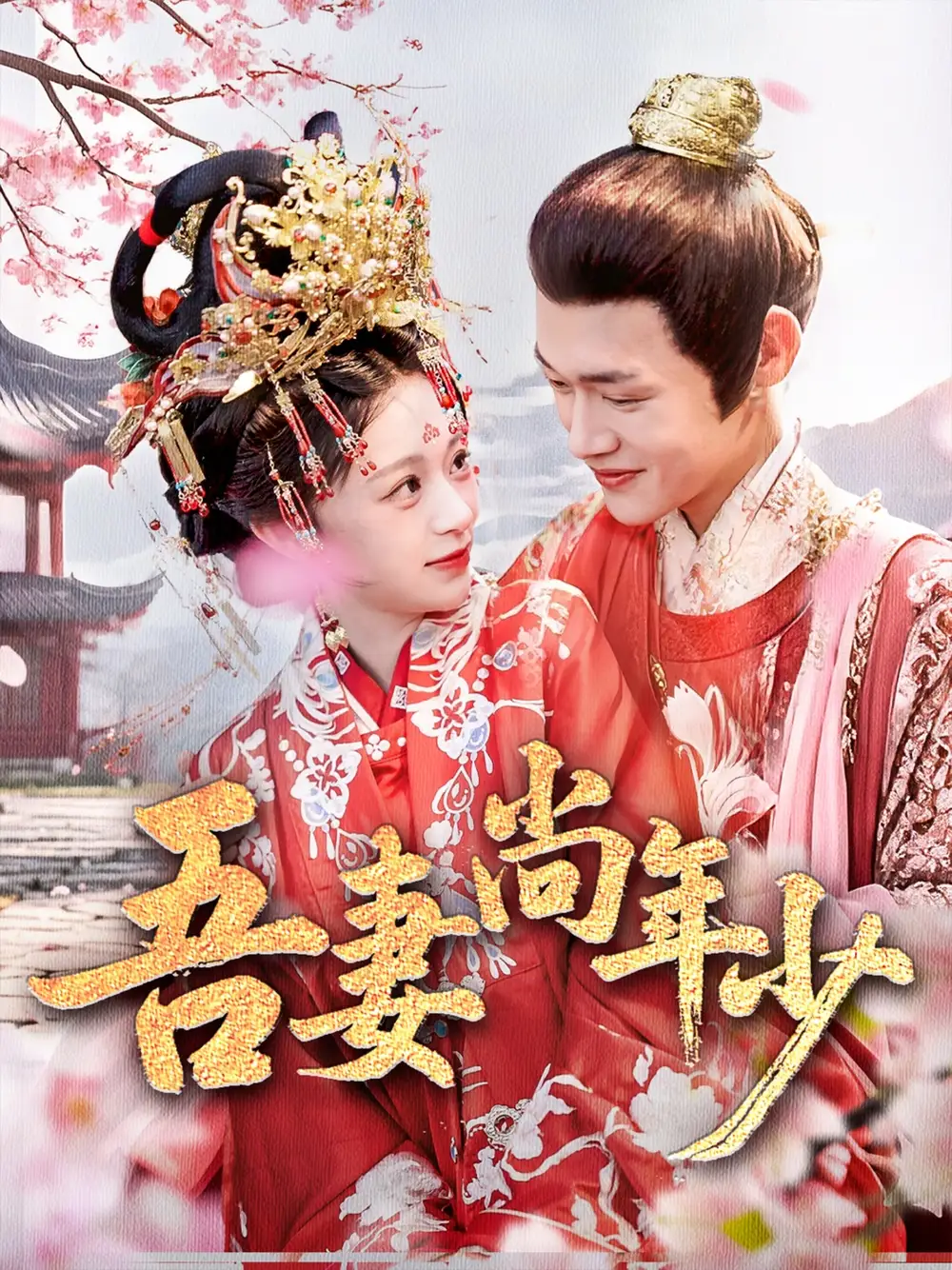 吾妻尚年少(60集)高清海报图片 吾妻尚年少(60集)海报