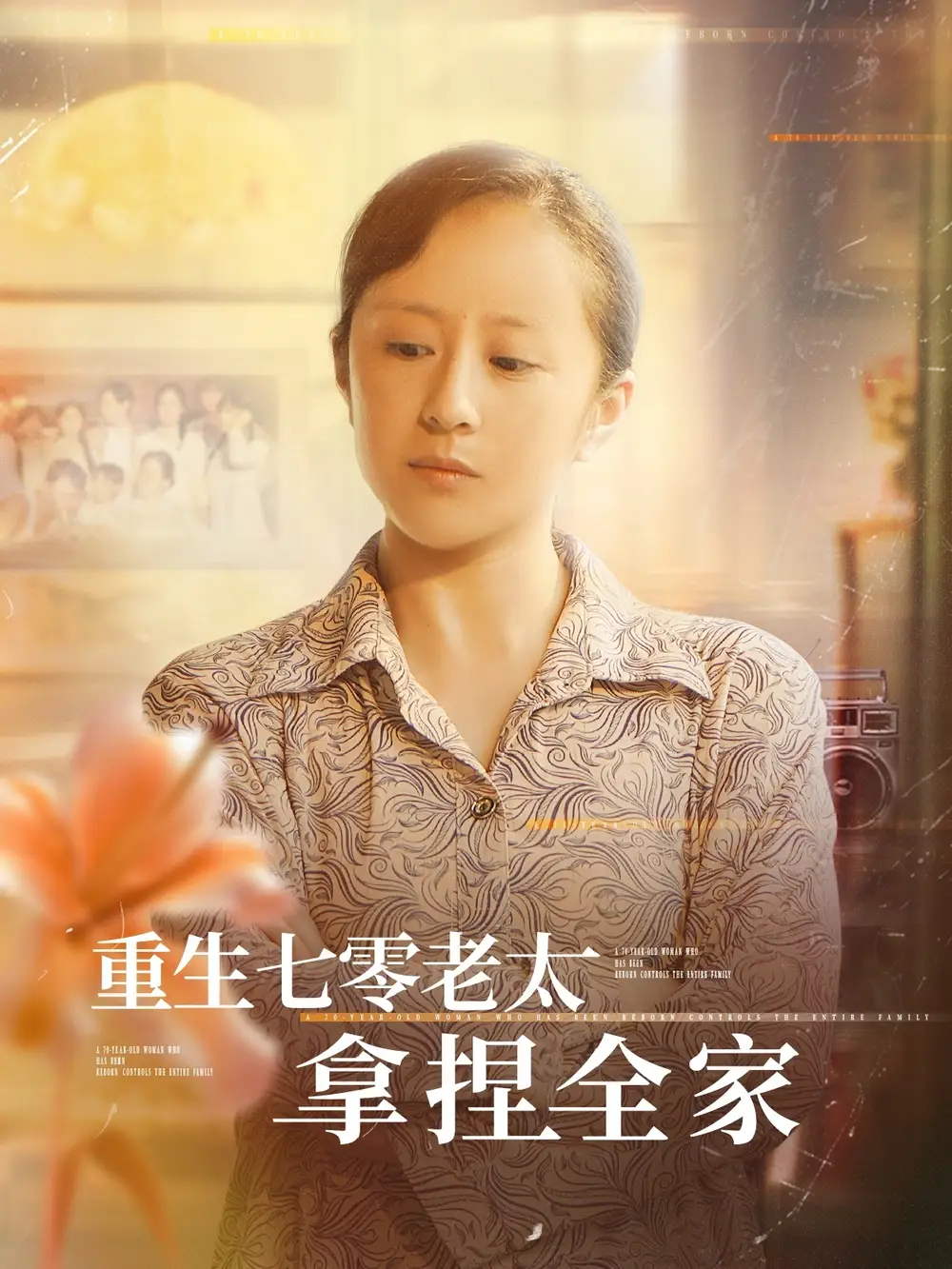 重生七零老太拿捏全家（84集）海报