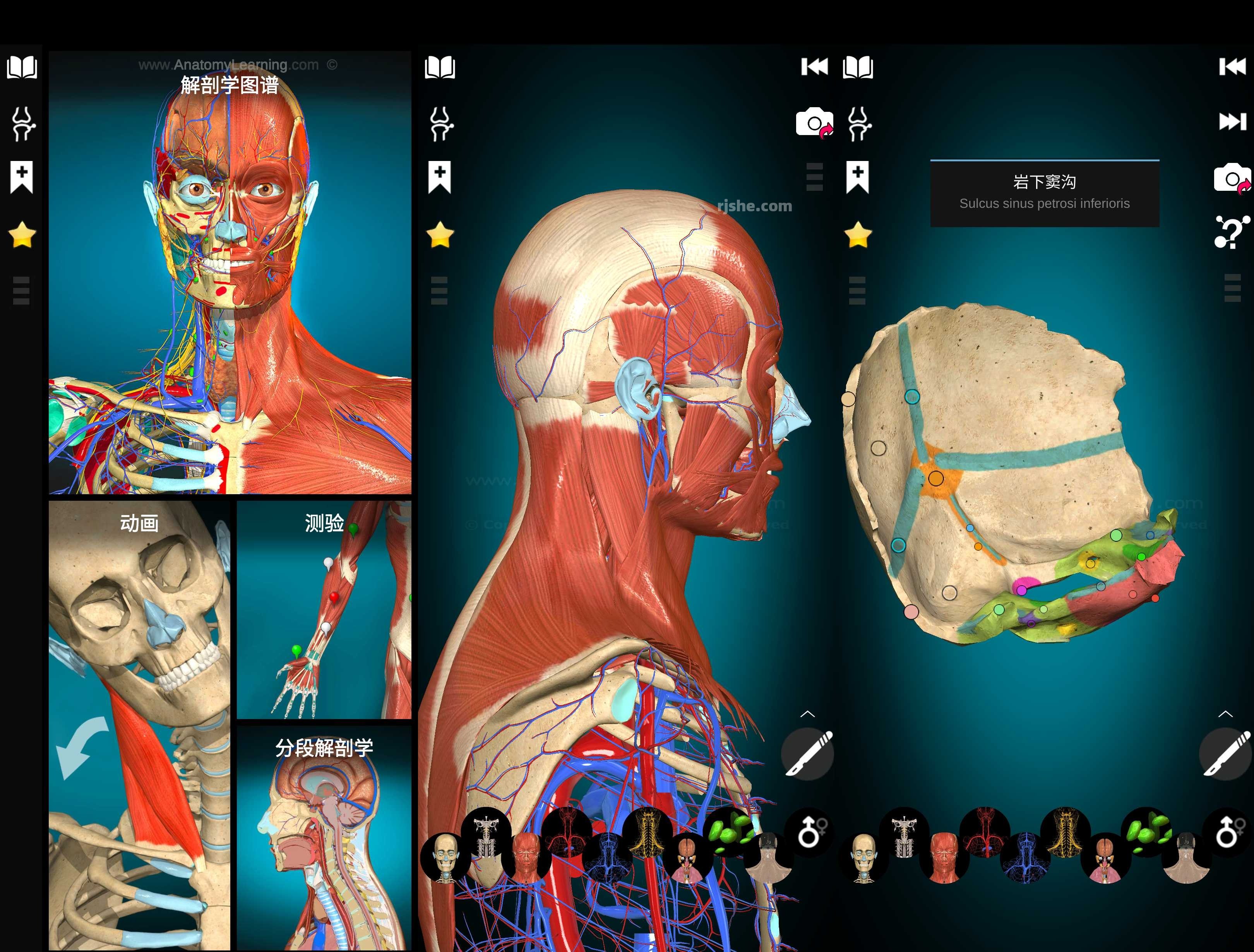 Anatomy Learning(解剖学) v3.1.467 高级版