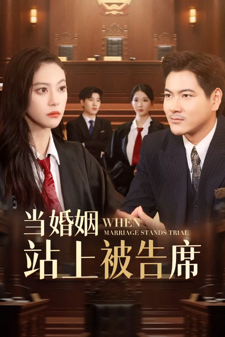《当婚姻站上被告席（30集）刘林/刘涵飞》短剧全集免费在线看