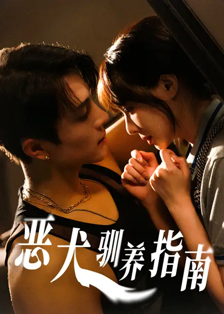 《恶犬驯养指南（40集）》短剧全集免费在线看