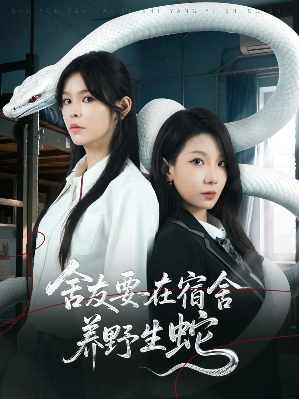 《舍友要在宿舍养野生蛇（60集）》短剧全集免费在线看