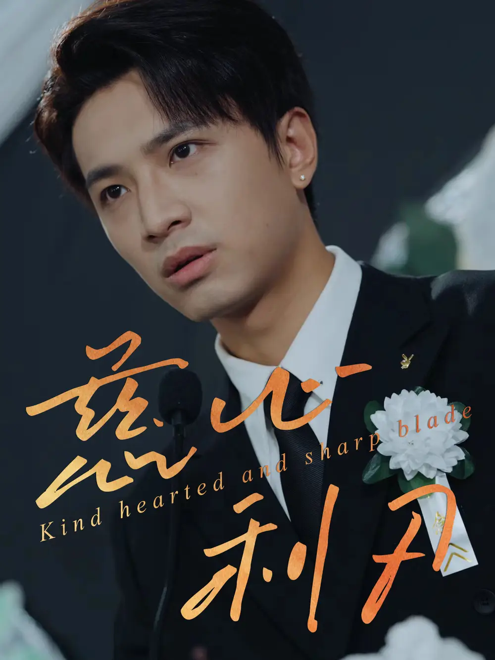 《慈心利刃(30集)》短剧全集免费在线看