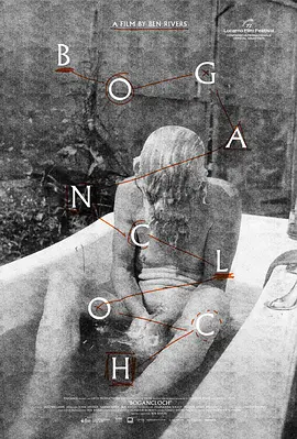 林中空地 [2024][6.9分]