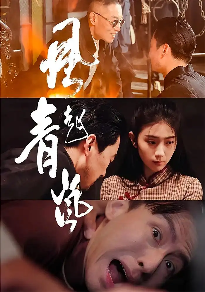 《风起青岚（96集）》短剧全集免费在线看