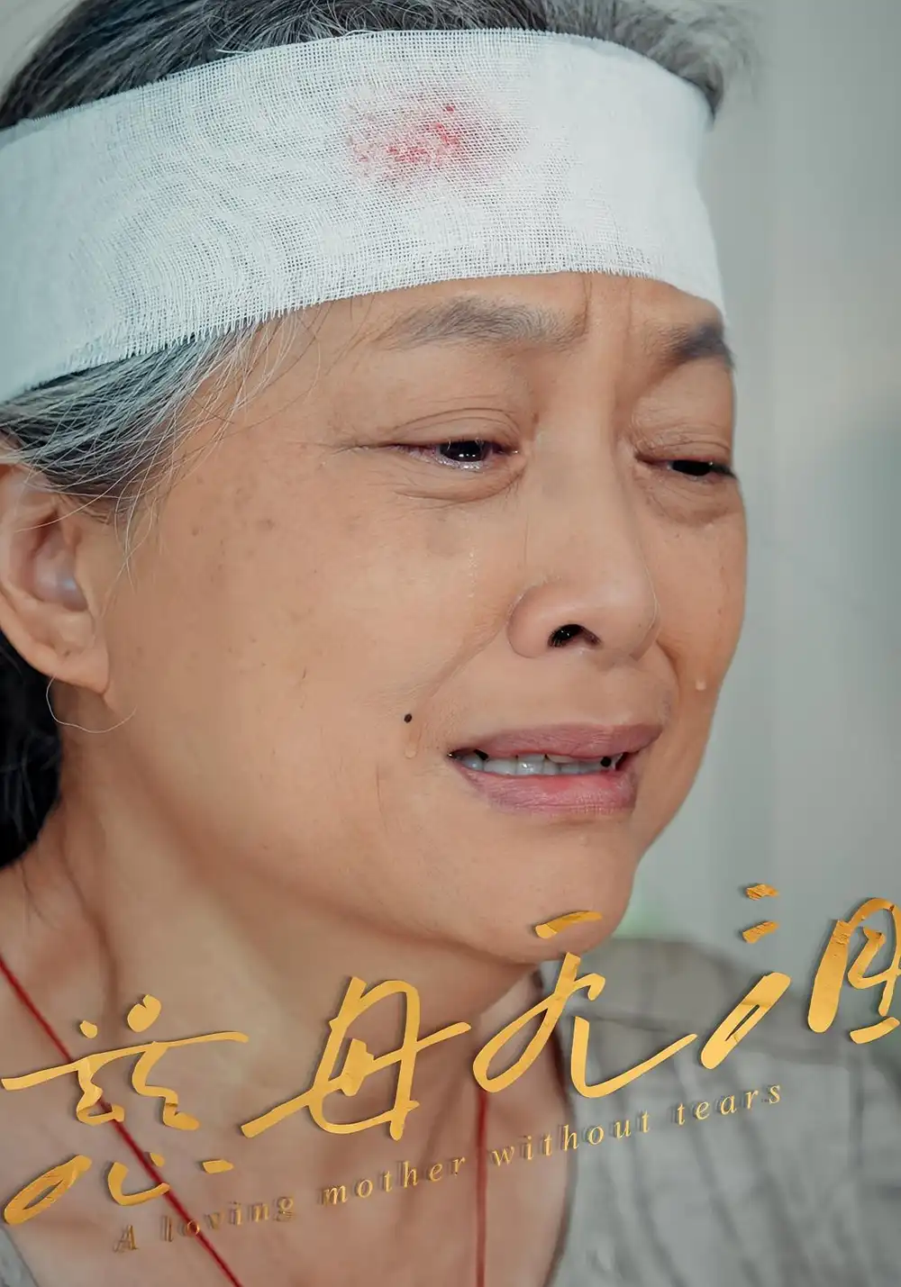 《慈母无泪（30集）》短剧全集免费在线看