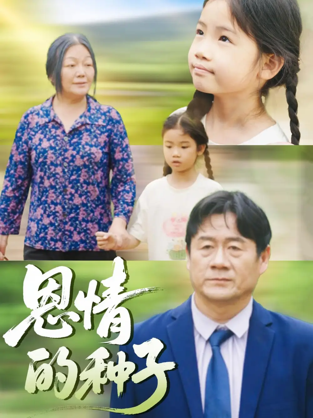 《恩情的种子（29集）》短剧全集免费在线看