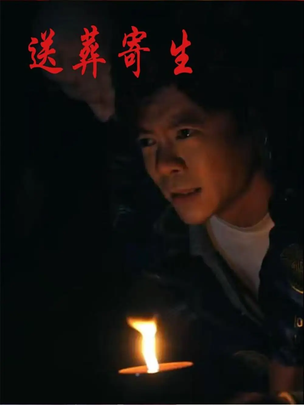 《送葬寄生（100集）》短剧全集免费在线看