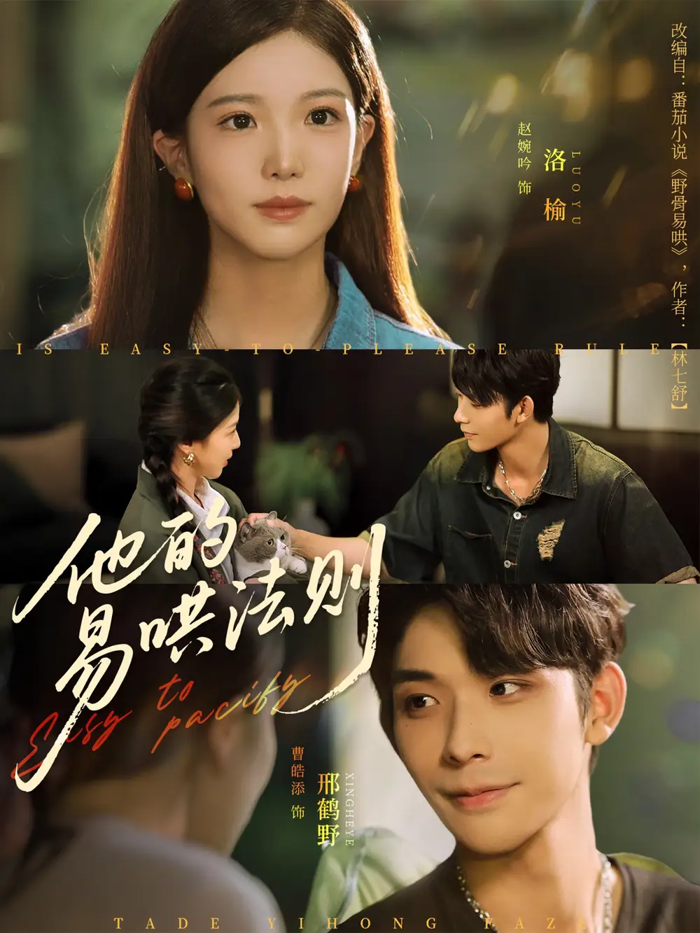 《他的易哄法则(80集)》短剧全集免费在线看