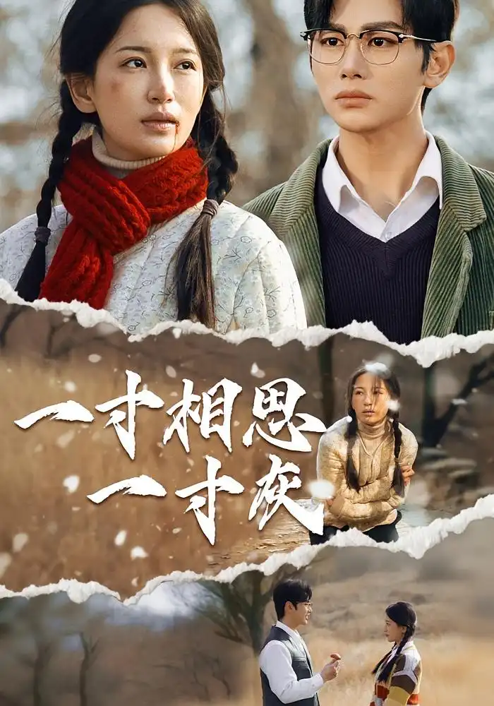 《一寸相思一寸灰(43集)》短剧全集免费在线看