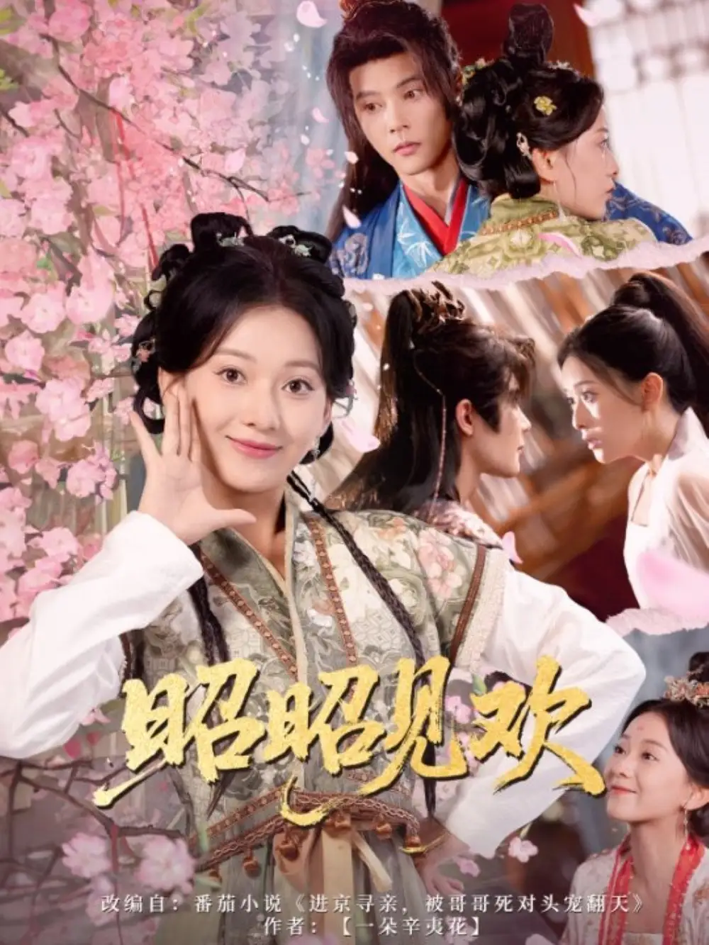 《昭昭见欢（66集）》短剧全集免费在线看