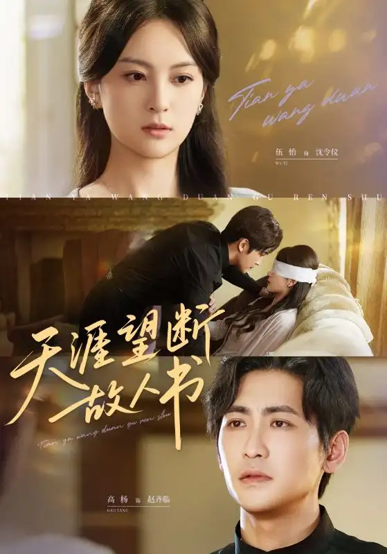 《天涯望断故人书（60集）》短剧全集免费在线看