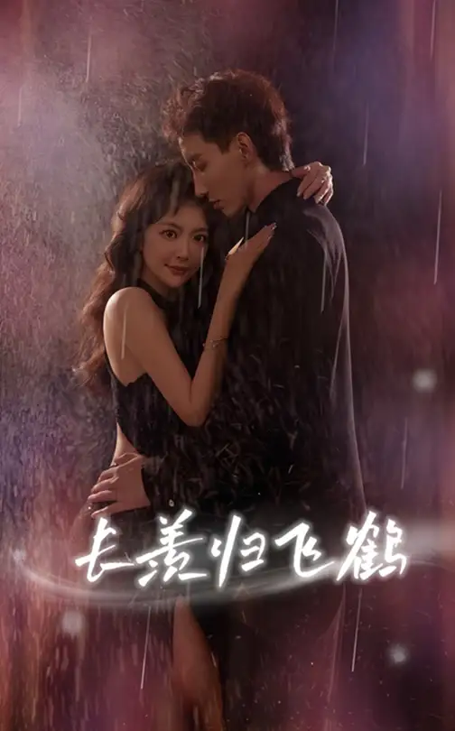 《长羡归飞鹤 (70集) 霍文琦 长篇》短剧全集免费在线看