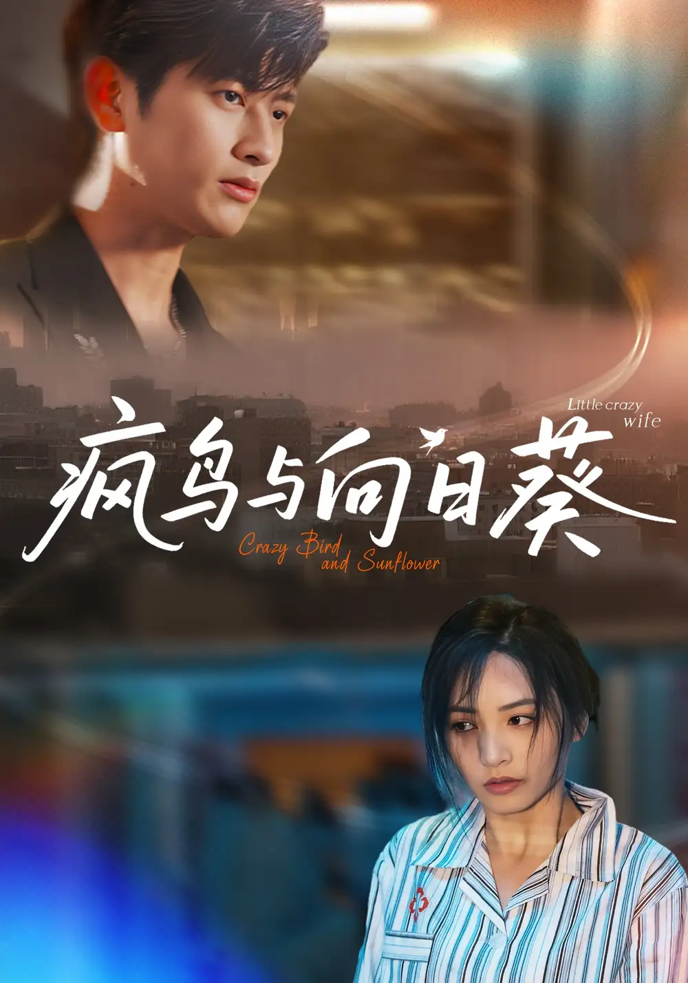 《疯鸟与向日葵（40集）》短剧全集免费在线看