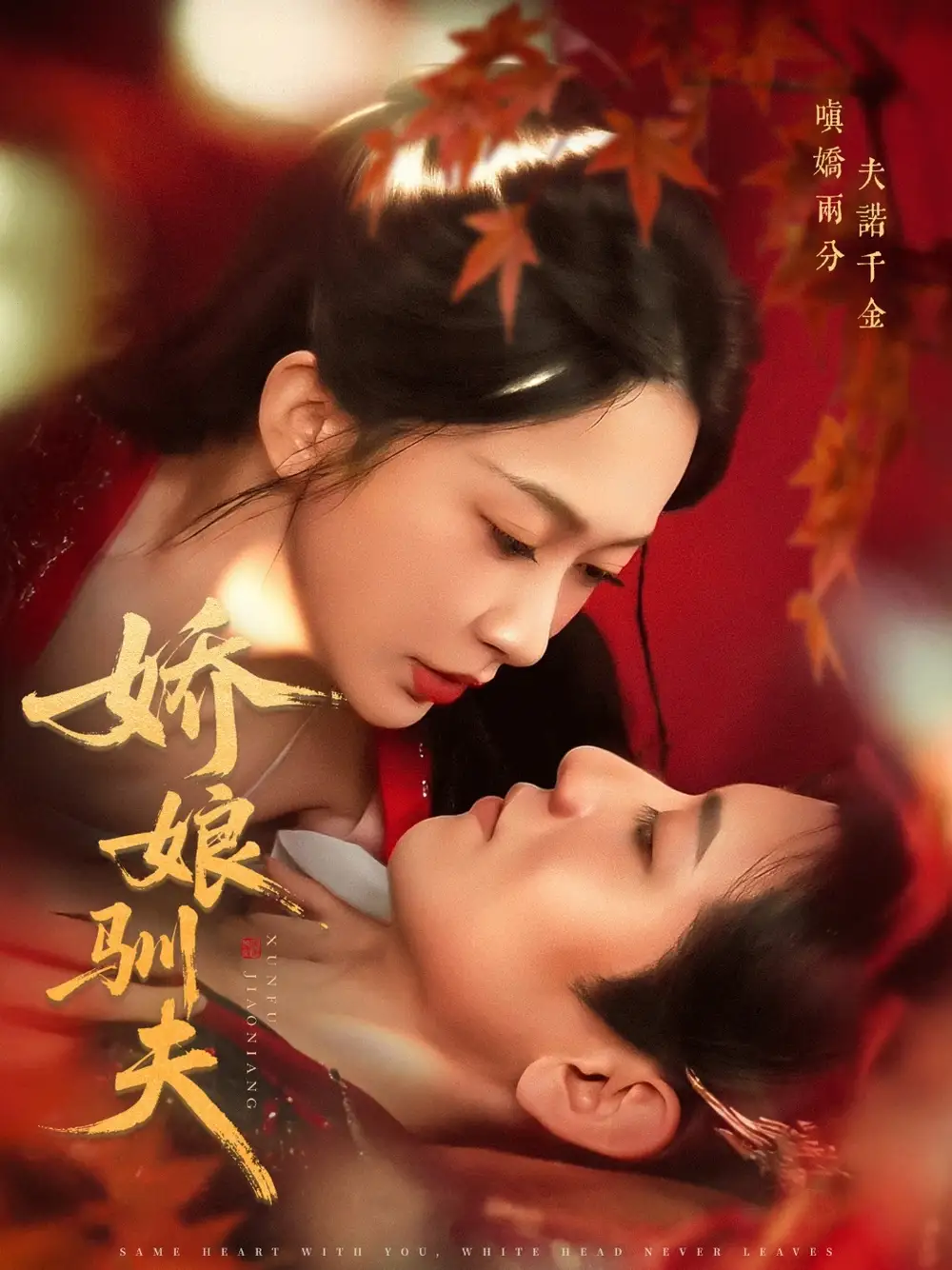 《娇娘驯夫（82集）》短剧全集免费在线看