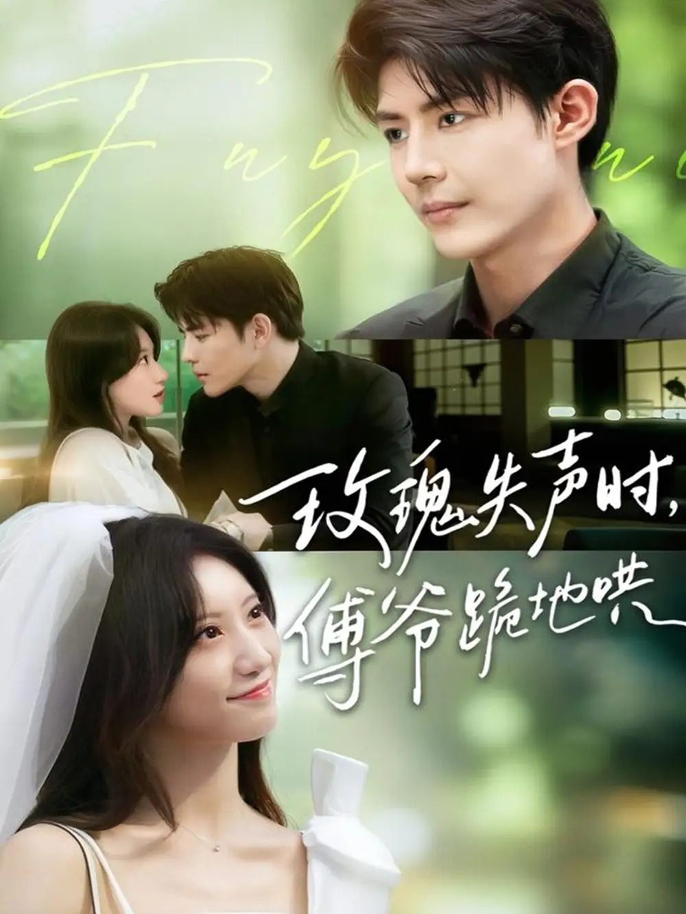 《玫瑰失声时傅爷跪地哄（70集）詹妮＆于济玮》短剧全集免费在线看