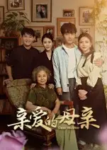 《亲爱的母亲（31集）》短剧全集免费在线看