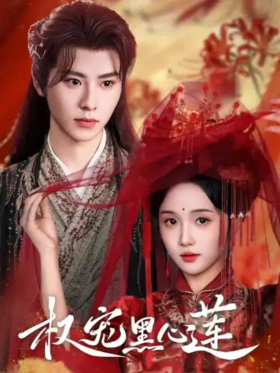 《权宠黑心莲（78集》短剧全集免费在线看