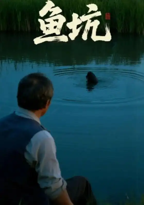 《鱼坑（30集）付晓月/韩世袆》短剧全集免费在线看