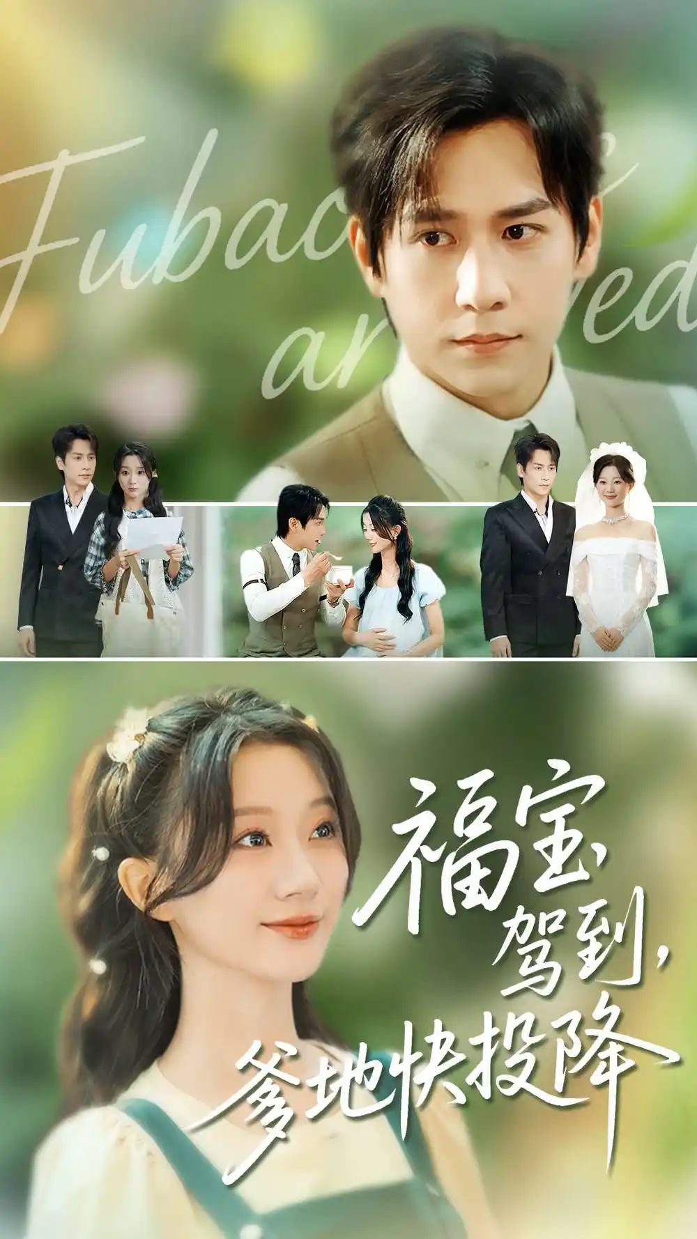 《福宝驾到，爹地快投降（100集）》短剧全集免费在线看