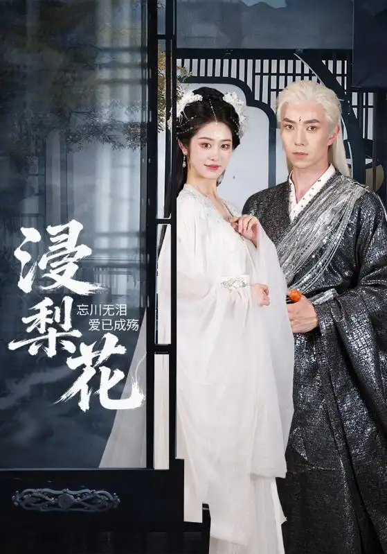 《浸梨花（50集）》短剧全集免费在线看