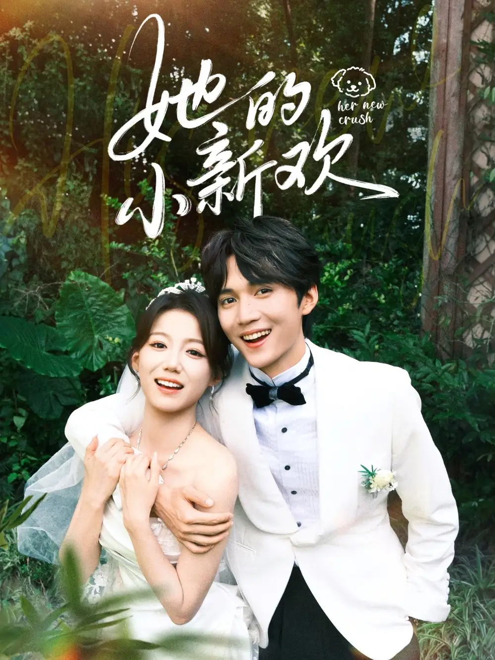 《她的小新欢(84集)》短剧全集免费在线看