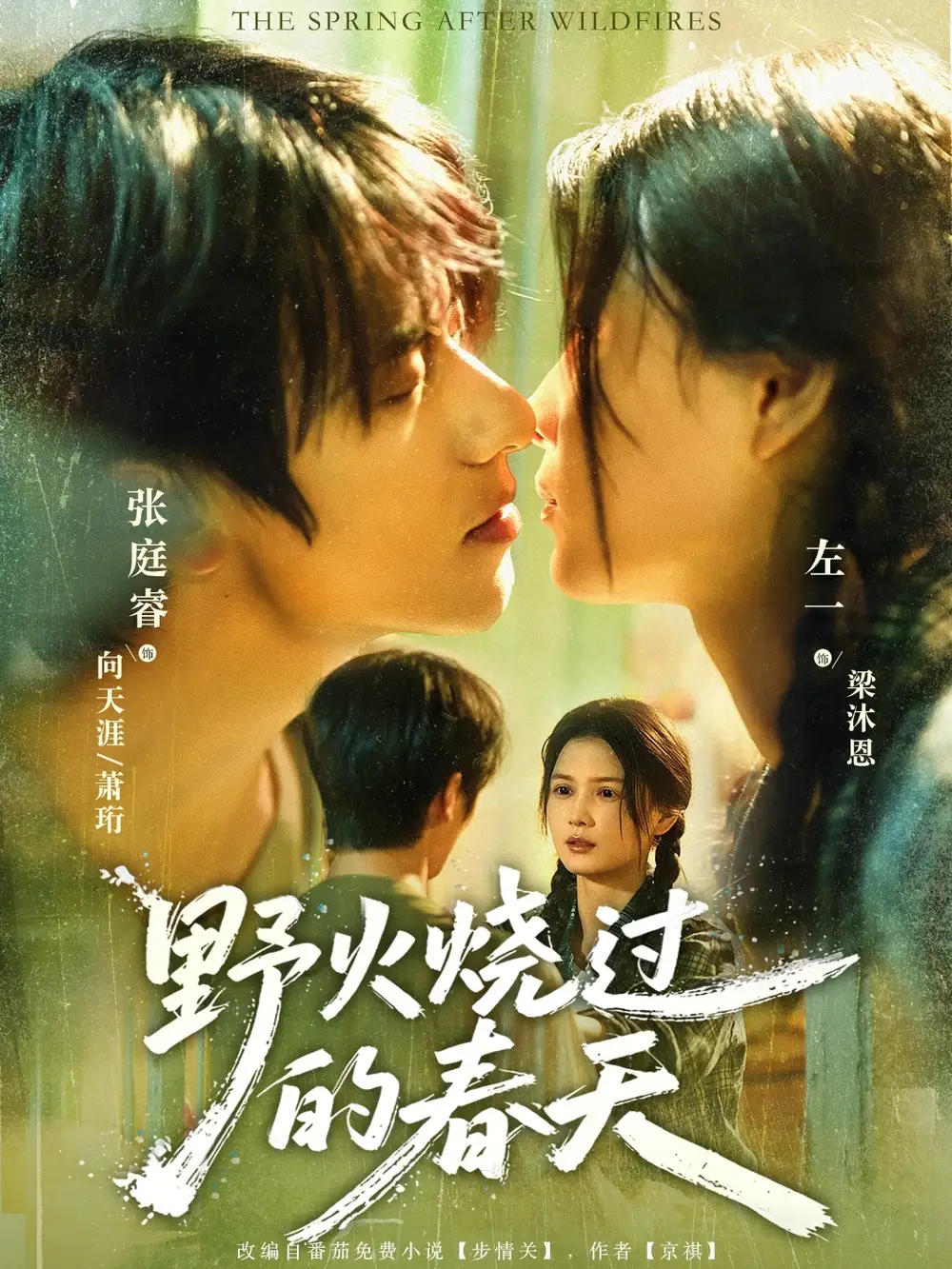 《.野火烧过的春天(85集)》短剧全集免费在线看