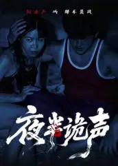《夜半诡声（28集）》短剧全集免费在线看
