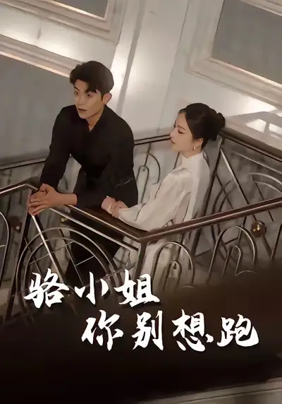 《骆小姐你别想跑（30集）》短剧全集免费在线看