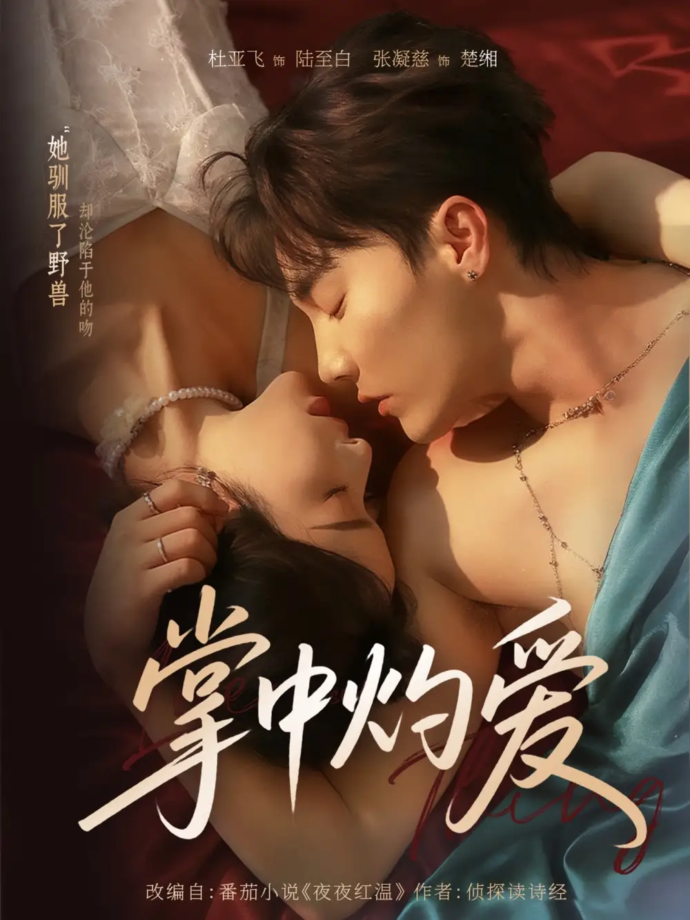 《掌中灼爱(62集)杜亚飞&张凝慈》短剧全集免费在线看