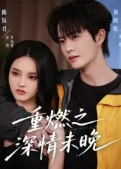 《重燃之深情未晚（70集）》短剧全集免费在线看
