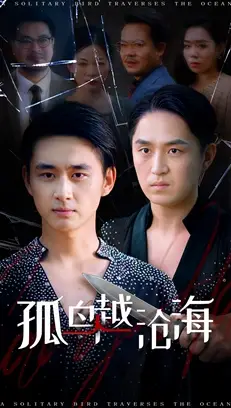 《孤鸟越沧海 (60集)》短剧全集免费在线看