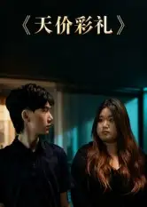 《天价彩礼(20集》短剧全集免费在线看