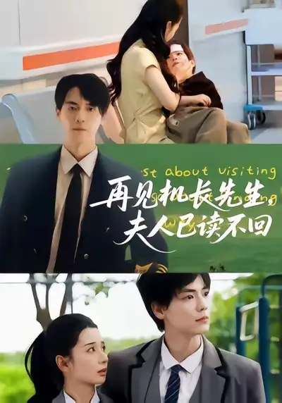 《再见机长先生夫人已读不回(62集)杰士鸣/侯梦瑶》短剧全集免费在线看