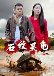《石纹灵龟（30集）王浩/刘灵》短剧全集免费在线看