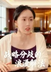 《战略分歧的浪漫解法(16集)》短剧全集免费在线看