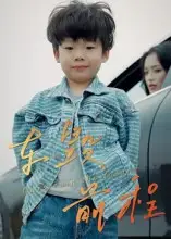 《车毁前程（30集）》短剧全集免费在线看