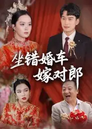 《坐错婚车嫁对郎(32集)钟俞/马皓》短剧全集免费在线看