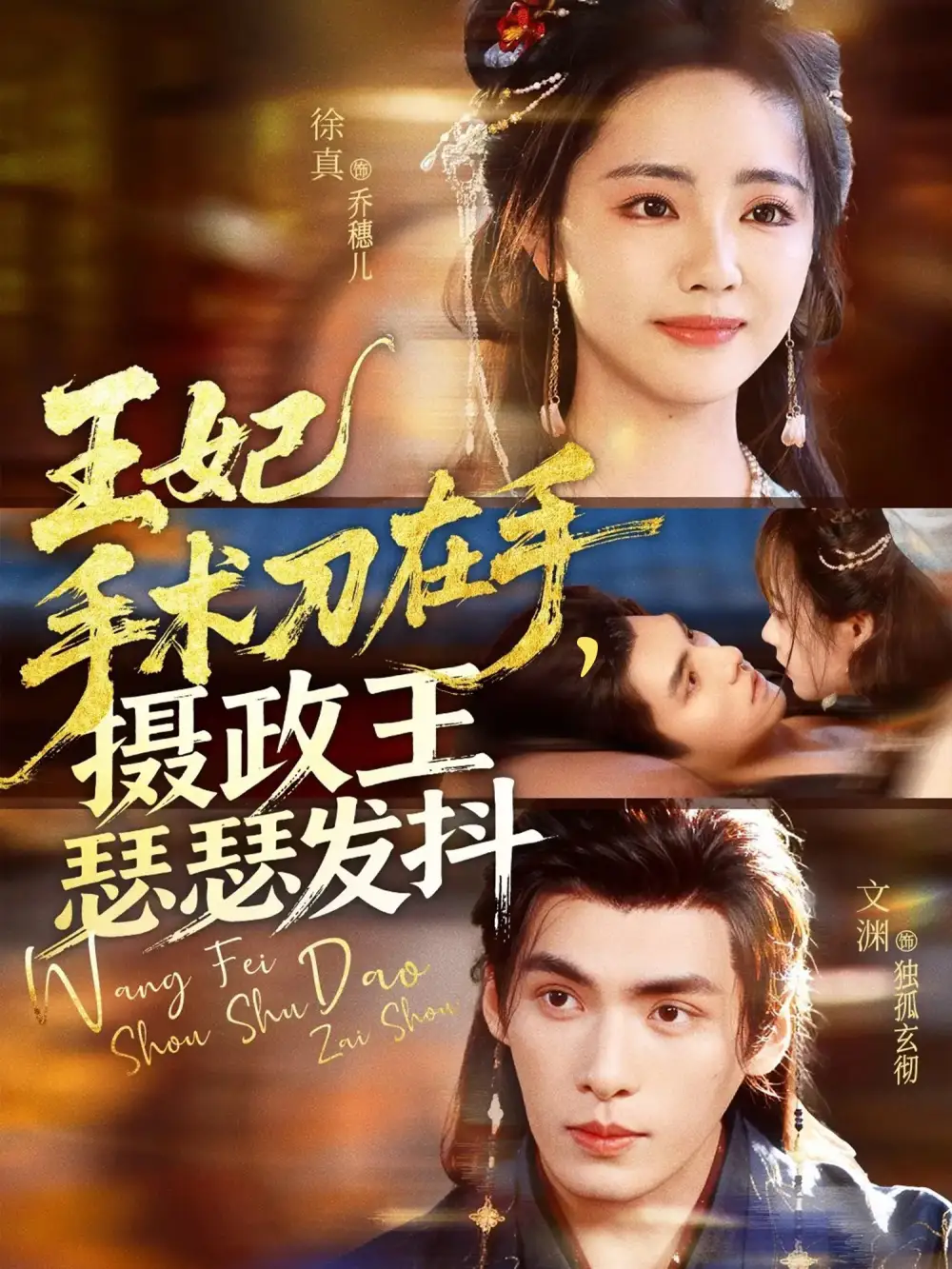 《王妃手术刀在手摄政王瑟瑟发抖（73集）徐真/文渊》短剧全集免费在线看