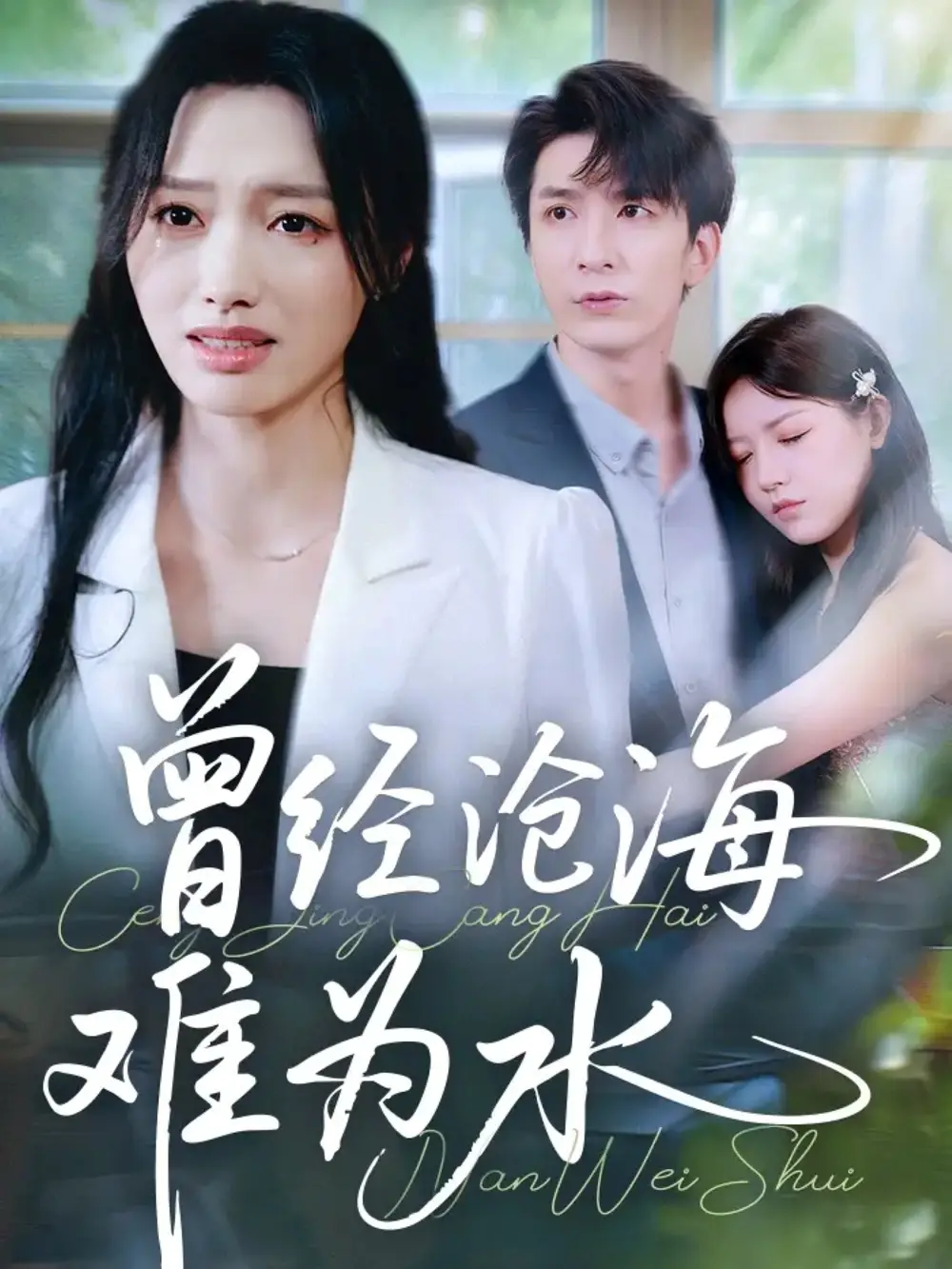 《曾经沧海难为水（60集）韩旭/王梦佳》短剧全集免费在线看