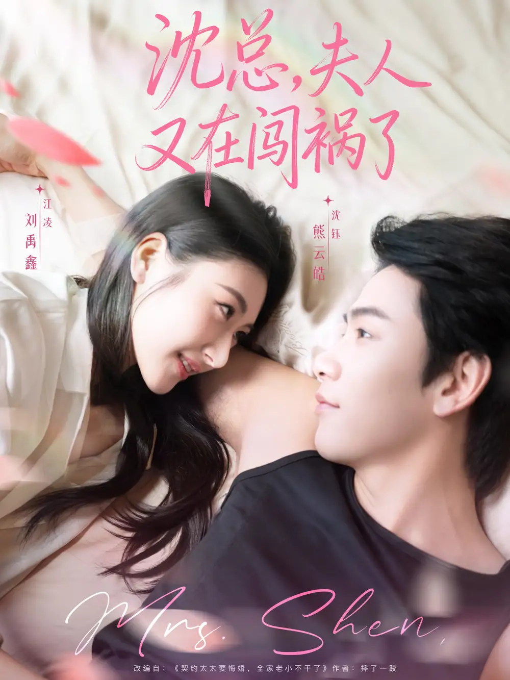 《沈总夫人又在闯祸了（79集）熊云皓＆刘禹鑫》短剧全集免费在线看