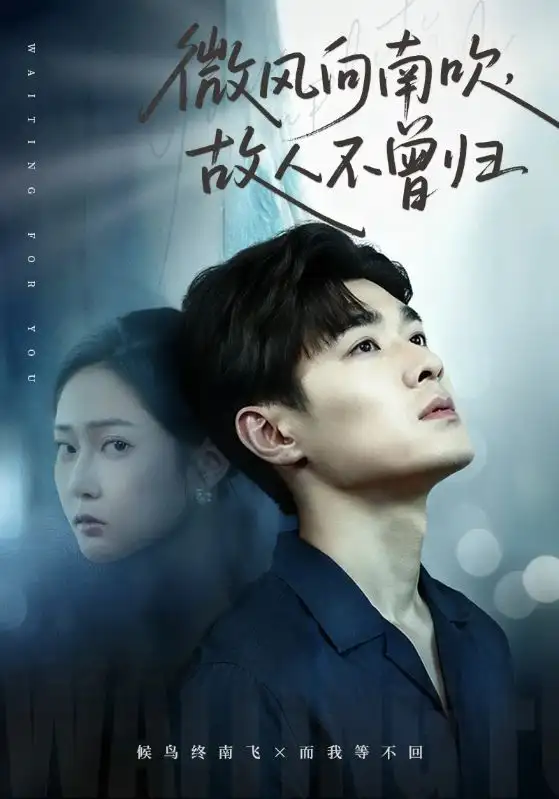 《微风向南吹，故人不曾归（72集）易柏辰＆王悦洋》短剧全集免费在线看