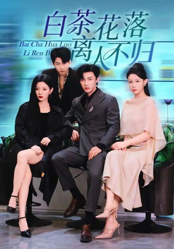 《白茶花落离人不归（51集）沈国洋/林初》短剧全集免费在线看